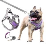 Pet Dog harness dog leash nylon Reflective Vest harness for small big dogs Chihuahua husky Teddy Chest Strap dog supplies XS-L
