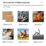 Portable 40kg/10g Digital Hanging Scale Electronic Luggage Scales Fishing Luggage Travel Mini Hook Weighing Scales Weight Tool