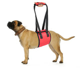 Popular Dog Carrying And Pet Assisting With Protection Belt adjustable Harness Set Leash Soft carrier accessories supplies soft