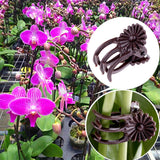 100pcs Flower Plant Support Grafting Tool Hanging Garden Orchid Vine Stems Plastic Clips Stalks Fix Grow Upright Decoration