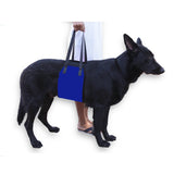 Popular Dog Carrying And Pet Assisting With Protection Belt adjustable Harness Set Leash Soft carrier accessories supplies soft