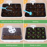 Plant Starter Tray Kit Indoor Gardening Supplies Nursery 12 Grid Flowers Vegetables Herb With Lid Adjustable Dome Base Yard Mini