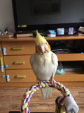 New 160cm Long Parrot Bird Toys Pet Bird Parrot Standing Rope Bird Cage Decoration Climbing Toy Parrot Bird Cage Toys Rope Bell