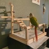 Pet Parrot Play Stand with Cup Bird Toys Tray Swing Climbing Hanging Ladder Bridge Wood Cockatiel Playground Bird Perches Budgie