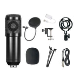 Bm 800 Microphone for Live Streaming Professional Studio Condenser Microphone Youtube TikTok