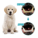 Dog Chew Toys for Aggressive Chewers, Suction Cup Dog Chewing Toy, Dog Rope Ball Toys with Suction Cup for Small Large Dogs