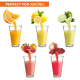 Manual Juicer with Lever, Fruit Press for Oranges, Citrus, Lemon Squeezer Stainless Steel Fruit Juicer Handheld