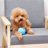 Pet Dog Cat Chew Toy Ball Puppy Teething Toys Interactive Balls Bite Resistant Tooth Cleaning Squeak Toy Vocal Chewing Rubber