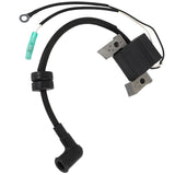 Ignition Coil Assy 6BX-85571-00 for Yamaha Boat Engine F4L F4S F6L F6S F6C 4-Stroke, Coil for Hidea F6 4 Stroke 6HP