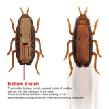 Funny Pet Cat toys interactive Electronic Toy Cockroach Mouse Spider for Cats dogs Puppy Training Toys Pet product