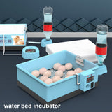 Automatic Incubator 20-66 Eggs Incubator Chicken Goose Duck Quail Pigeon Poultry Brooder Automatically Farm Hatching Machine