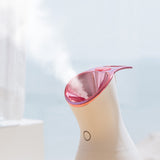 Nano Ionic Facial Steamer Home Spa Humidifier Atomize Skin Care 500ml Water Tank Deep Hydration Mist Sprayer Facial Cleaner