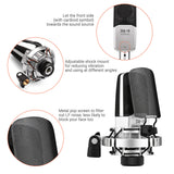 TAKSTAR SM-18 EL Cardioid Condenser XLR Microphone Kit with Adjustable Shock Mount Metal Pop Screen for Studio Live Stream