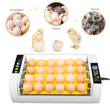 24 Egg Incubator Automatic Egg Incubators Hatching for Chicken Birds Quail Constant Temperature Control Farm LED Light