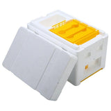 Bee Hive Beekeeping King Box Pollination Box Foam Frames Beekeeping Tool Kit beekeeping  tool box  honeybee  bee hive