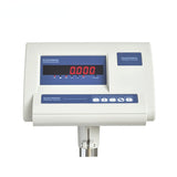 300kg 10g Large Capacity Industrial Balance Precision Electronic Weighing Scale
