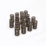 16* Engine Valve Spring Set Fit For VW Amarok Beetle Caddy CC EOS Golf Jetta Passat Polo Audi A4 A5 CNFB CDCA CNEA CSHA 2.0TDI