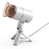 800W Professional Hair Dryer (With Powerful Ac Motor), Negative Ion Technology,2 Speed / Cold Settings US Plug