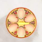 6 Eggs Children Experimental Eggs Incubator Chicken Incubator Eggs Hatching Machine Temperature Control Children Gift