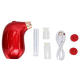 Handheld Facial Oxygen Sprayer 140KPA Facial Mist Sprayer for All Skin Types
