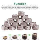 30mm Plug Garden Greenhouse Indoor Growing Flower Vegetable Professional Peat Pellet Set Plant Starting Home Seedling Soil Block