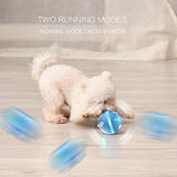 Interactive Dog Toy Wicked Ball for Indoor Cats/Dogs with Motion Activated/USB Rechargeable
