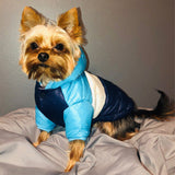 Pet Clothes Autumn/winter Cotton Clothes with Hood Dog Clothes Teddy Puppy Warm Two-legged Cotton Coat Pet Supplies