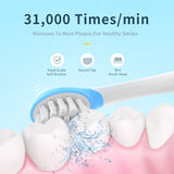SEAGO Sonic Electric Toothbrush Upgraded Kid Safety Automatic Toothbrush USB Rechargeable with 2 pcs Replacement Brush Head SK2