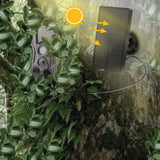 HC801A Hunting Trail Camera visione notturna gioco selvaggio notte animale foto termica 20MP fauna selvatica telecamer