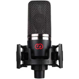 Seeknature T980 condenser microphone live broadcast equipment for karaoke and recording mobile computer universal