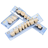 168 pieces/6sets /box Dental Synthetic Polymer Teeth Full Set Resin Denture Dental Teeth Color A2 A3 Size 23 Dentist Materials