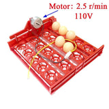 20 Egg Incubator Turn Eggs Tray Eggtester Automatically Turn The Eggs Experimental Teaching Equipment Voltage 220V / 110V / 12V
