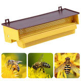 Ventilated Removable Outdoor Accessory Plastic Rectangle Front Mount Pollen Trap Easy Install Beekeeper Durable Beekeeping Tool
