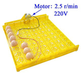 New Incubator 56 Eggs 110V / 220V  Automatic Egg Incubator Chicken Duck Poultry Incubation Equipment 2016 Free Shipping