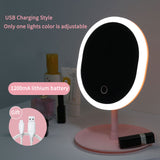 Led Makeup Mirror M007-1 USB Storage LED Face Mirror Adjustable Touch Dimmer Led Vanity Mirror Stand Up Desk Cosmetic Mirror