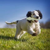 HOOPET Dog Teething Chew Toys Pea Shape Puppy Toothbrush 2-8 Months-Soothes Itchy Teeth and Painful-360°Puppy Teeth Cleaning