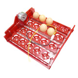 20 Egg Incubator Turn Eggs Tray Eggtester Automatically Turn The Eggs Experimental Teaching Equipment Voltage 220V / 110V / 12V