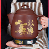 220V 4L Automatic Household Chinese Medicine Pot Ceramic Electric Kettle Casserole Boiled Medicine Health Cooker