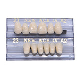 168 pieces/6sets /box Dental Synthetic Polymer Teeth Full Set Resin Denture Dental Teeth Color A2 A3 Size 23 Dentist Materials