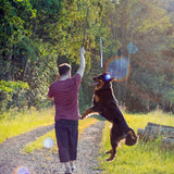 Pets Toys Interactive Dog Toys Extendable Flirt Pole Funny Chasing Tail Teaser And Exerciser For Pets Dogs Interactive Toys