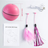 NEW2022 NEW2022 Pet product dog cat Laser toy LED flash rolling ball automatic scrolling electric toy funny cat ball usb