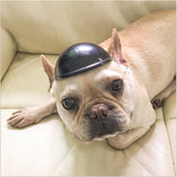 Pet Dog Helmet Motorcycle Helmet Outdoor Bike Doggy Cap for Small medium Dogs Cats Safety Protect Helmet S/M Pet Accessories