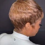 Wigs Women's Short Straight Hair Highlights Fashion Mechanism Synthetic Fiber Head Cover Pixie Wigs
