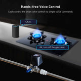Tuya ZigBee Smart Water Valve for Lever Switch Electric Gas Valve Controller Water Sprinkler Timer APP Remote Voice Control