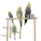 Parrot Playstands Toys Tray Bird Swing Climbing Hanging Ladder Bridge Wood Cockatiel Playground Bird Perches Bird Feeder