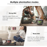 500ML Wood Grain Aromatherapy Essential Oil Diffuser Aroma Air Humidifier With Remote Control LED Light