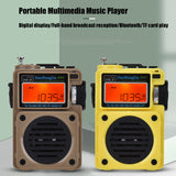 HRD-700/701 Radio Music Player, Coding Wheel Switch Tuning, Search And Save Radio Stations, Support Bluetooth, TF Card Playback