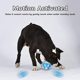 Interactive Dog Toy Wicked Ball for Indoor Cats/Dogs with Motion Activated/USB Rechargeable