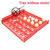 36 Eggs /144 Bird Eggs Duck Goose Pigeon Quail Automatic Incubator Incubation Equipment The Birds Poultry Incubator Equipment