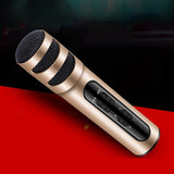 Musical Microphone Portable Handheld Karaoke Mic Speaker Machine for Christmas Birthday Home Party Golden